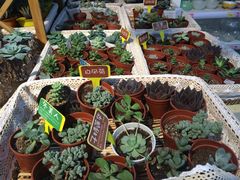 iphone_upload_pic-山东嘉汇文化用品有限公司张店凤凰国际分公司(新村西路店)