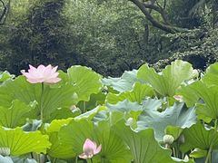 -成都杜甫草堂博物馆