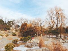 -莲花池公园