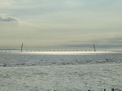 -深圳湾公园(南山区)