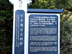 -腾冲和顺柏联酒店