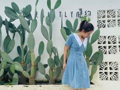 -三圣花乡旅游区