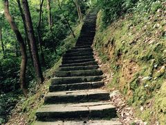 -严子陵钓台(富春江小三峡)