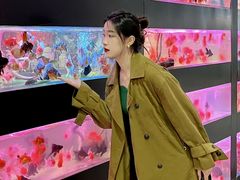 -苏州艺都古玩花鸟市场