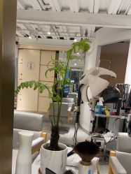-菲·木田moontin造型salon