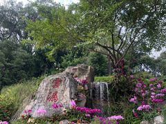 -广州市白云山风景名胜区