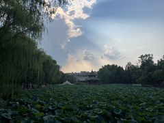 -莲池书院博物馆