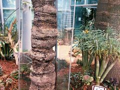 -郑州植物园