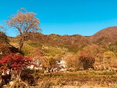 -塔川景区
