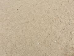 -东澳岛
