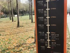 -唐城墙遗址公园