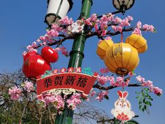 -上海迪士尼度假区