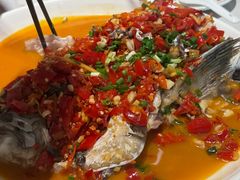 -全乐鱼馆·淳牌有机鱼直营店