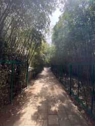 -北京英煌医疗美容