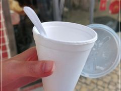 -洪馨椰子