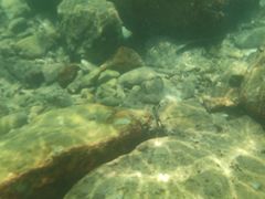 -西涌国际滨海旅游区