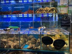 -岳各庄批发市场(西四环中路店)