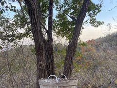 -北京西山国家森林公园