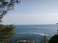 -广东惠东海龟国家级自然保护区