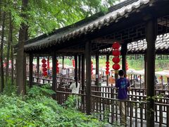 -溱湖国家湿地公园