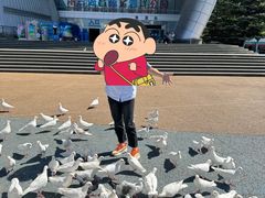 -烟台海昌鲸鲨海洋公园