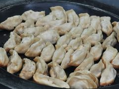 鲜肉锅贴-新川饮食(新川小区店)