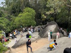 -火炉山森林公园