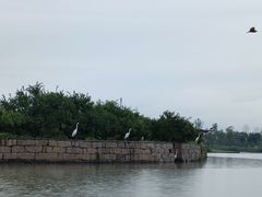 -三垟湿地