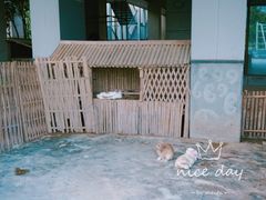 -宁波九龙湖开元度假村