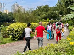 -晓港公园