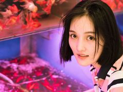 -苏州艺都古玩花鸟市场