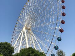 -凤岭儿童公园