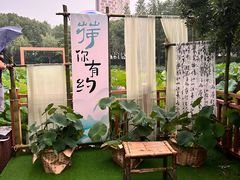 -陈家山荷花公园