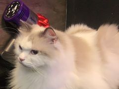 -暗楼·剧本杀·桌游