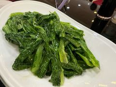 -塔城美食(塔城办事处店)