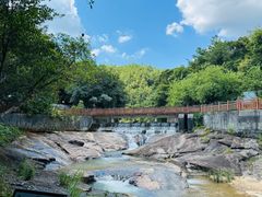 -广州白江湖森林公园