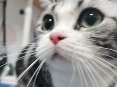 -宠颐生嘉德动物医院