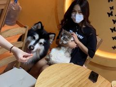 -白兔子密室(长寿路店)