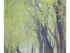 -东坝千亩湖公园