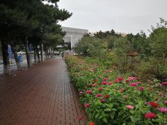 -吉林大学前卫校区南区-日新楼