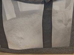 -瑞鹏宠物医院·骨科·猫科·内科(第一中心)