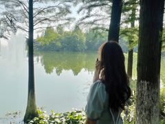 -艾溪湖湿地公园