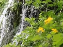 -沕沕水生态风景区