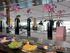 -首都机场t3-c国航两舱休息室