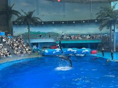 -海合安成都极地海洋公园