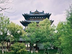 -江心屿景区