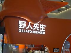-野人先生现做冰淇淋(北京王府井东方新天地店)