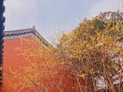 -钱王祠