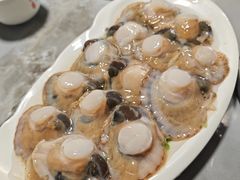 现刮扇贝-良兴火锅