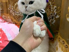 -艾贝尔宠物医院·狂犬免疫点(江山金象城店)